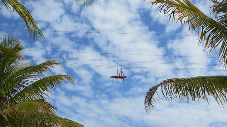 Zipline on Harvest Caye